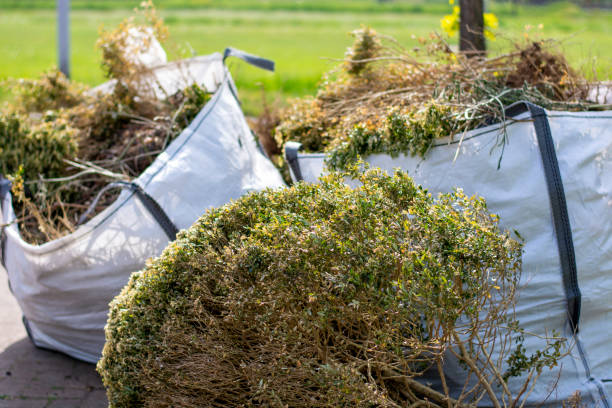 Best Office Cleanout  in Tolleson, AZ